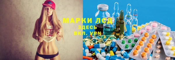 PSILOCYBIN Аркадак