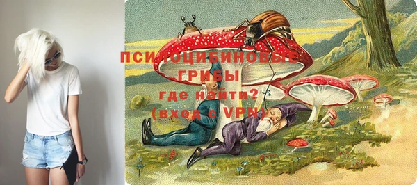первитин Арсеньев