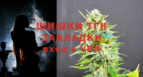 PSILOCYBIN Аркадак