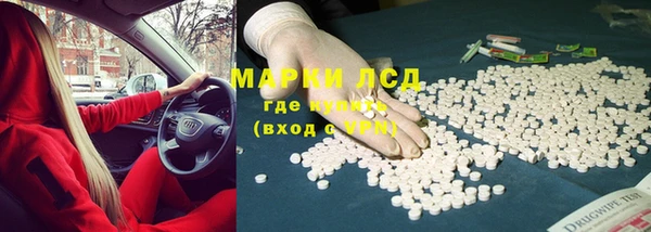 PSILOCYBIN Аркадак